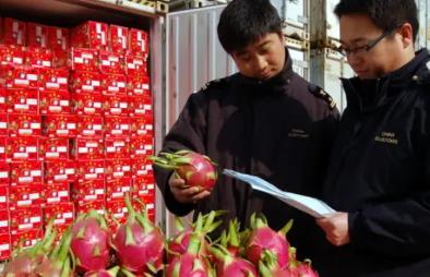 關(guān)于食品進口報關(guān)你應(yīng)該知道的幾點知識
