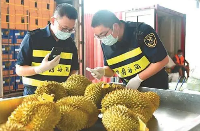水果進(jìn)口都要注意哪些問題？進(jìn)口報關(guān)都需要哪些資料？
