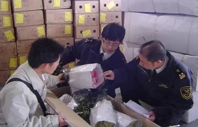 進口清關貨代能夠有效幫助企業降低成本